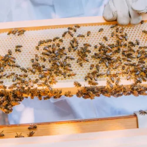 Die Produkte von Bedrop im Test – meine Erfahrungen