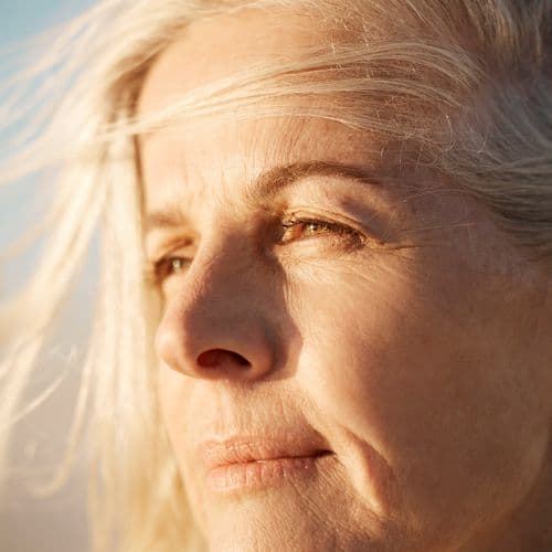 Zellalterung verstehen