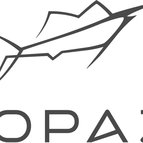 Dopazi Logo